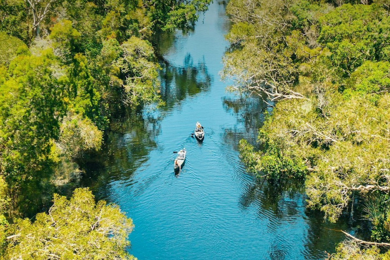 Australian Road Trip Series: The Noosa Everglades
