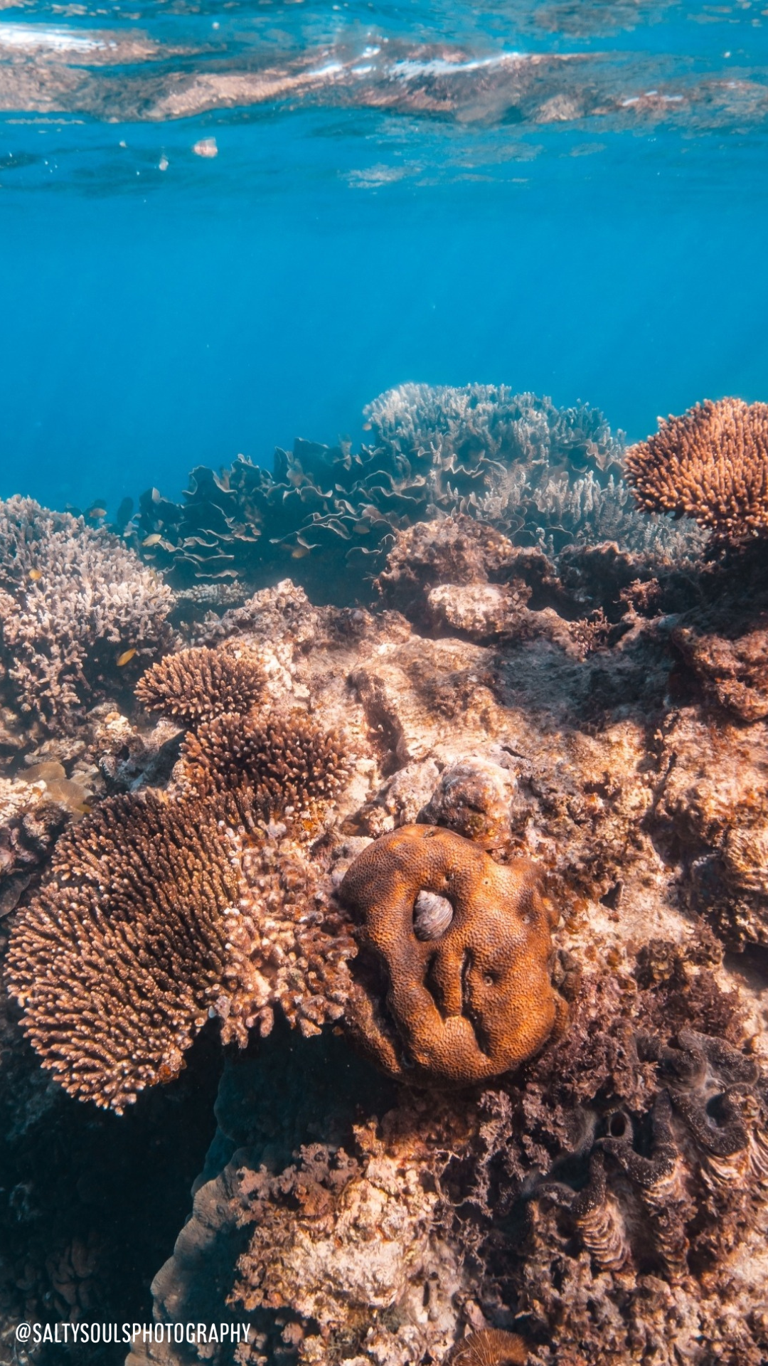 Release Retreat by Wholesome Adventure Club