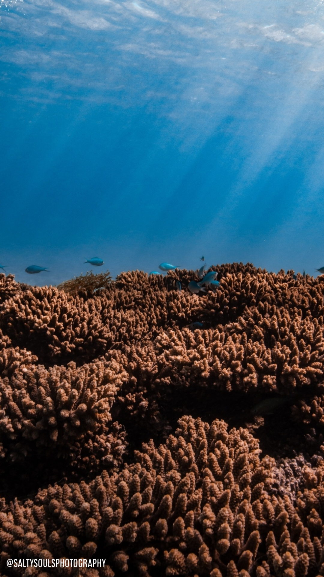 Release Retreat by Wholesome Adventure Club