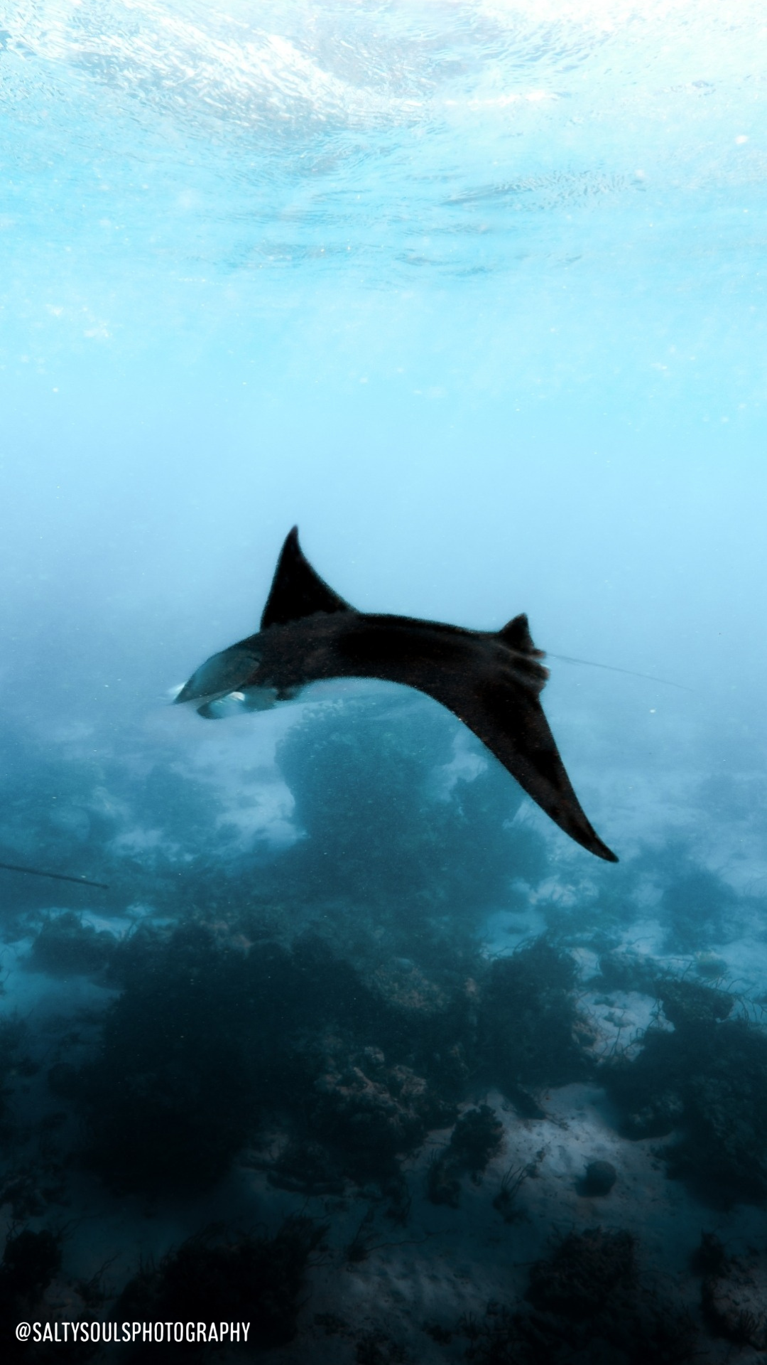 Release Retreat by Wholesome Adventure Club