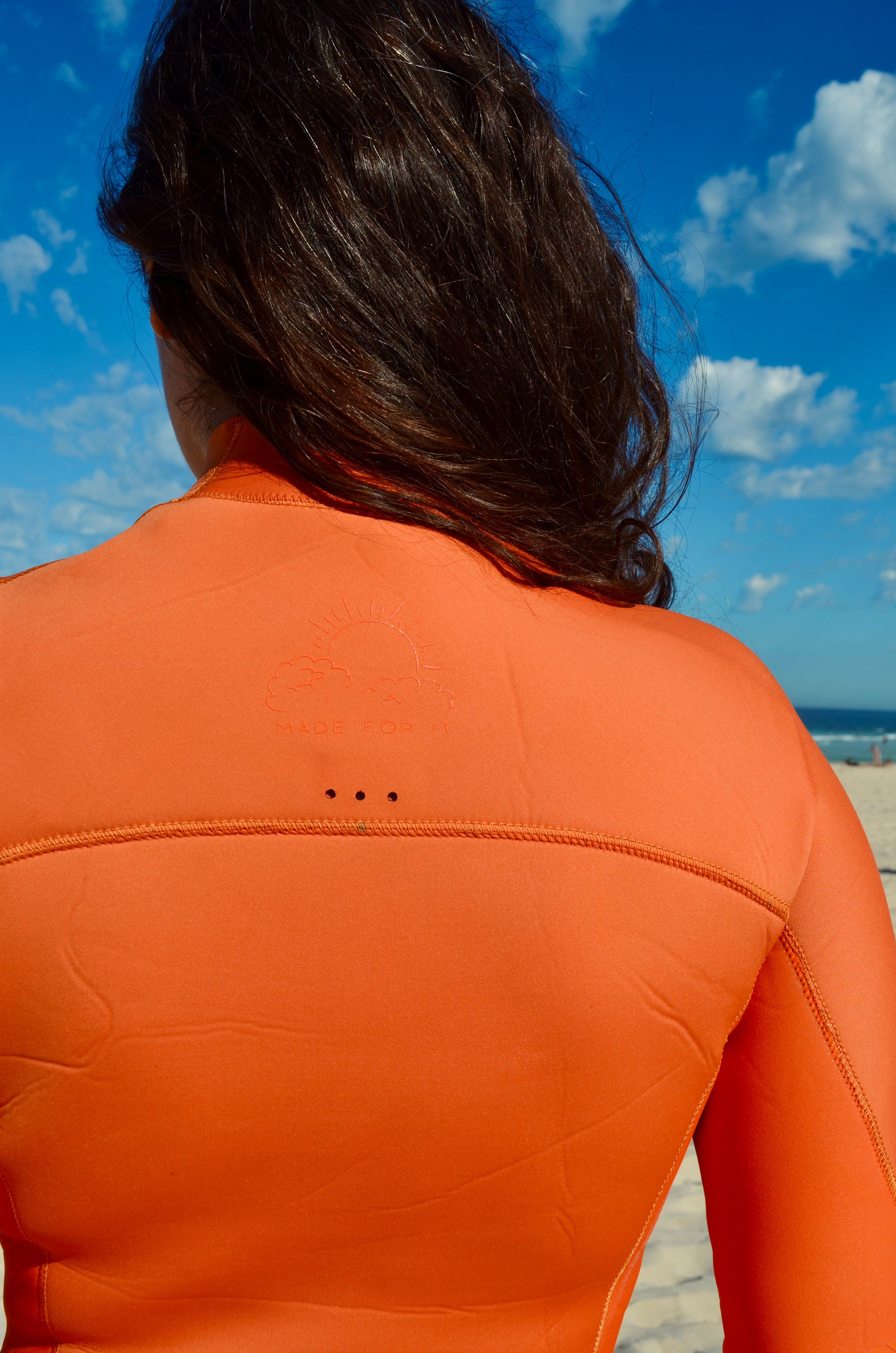 Fire springie preorder