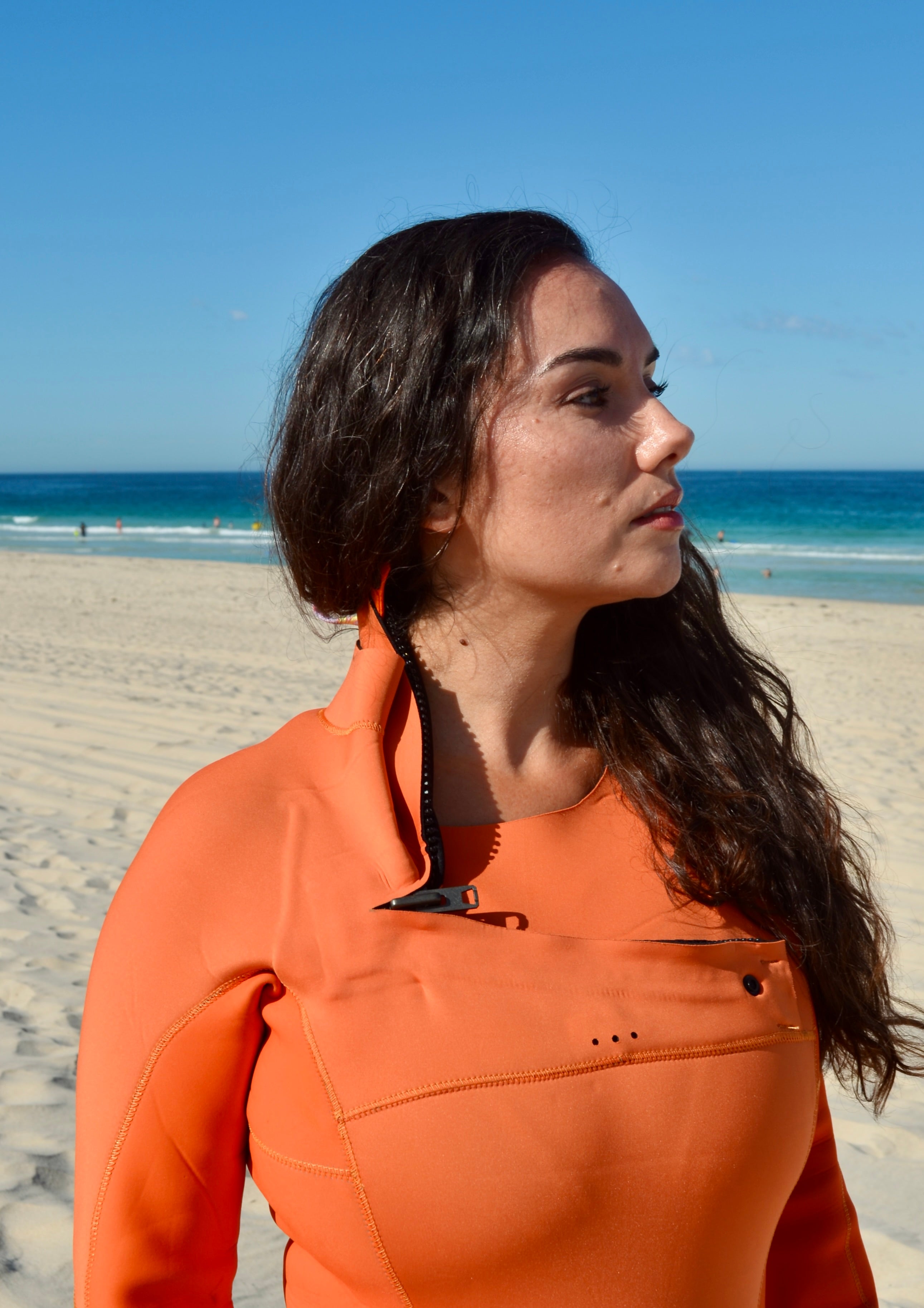 Fire springie preorder